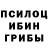 Галлюциногенные грибы Psilocybine cubensis Vladimir Reznitchenko