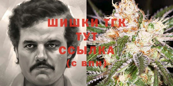 молекула духа Гусь-Хрустальный