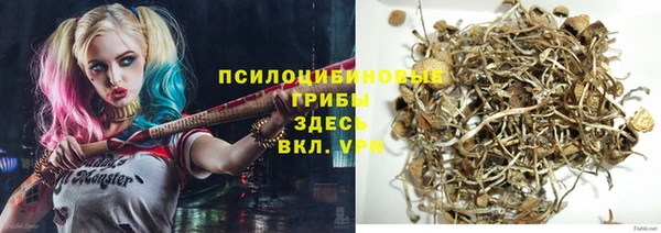 мяу мяу мука Гусиноозёрск