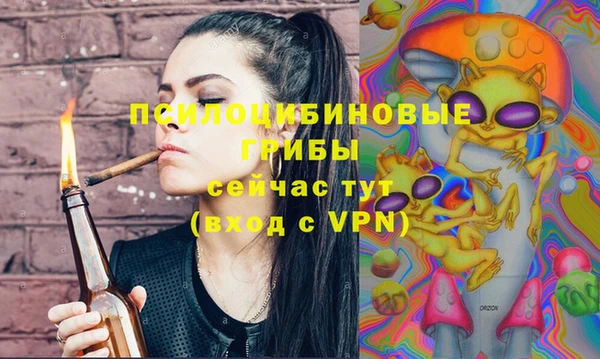 молекула духа Гусь-Хрустальный